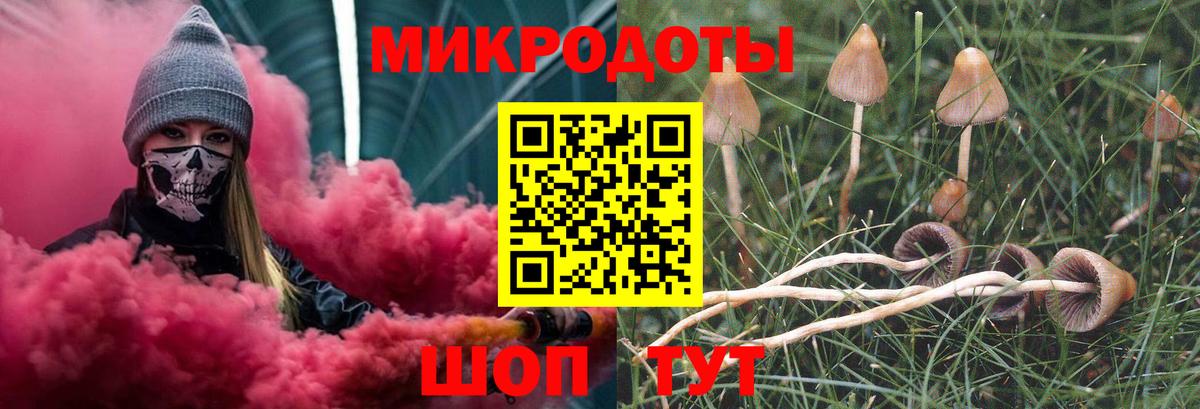 Галлюциногенные грибы прущие грибы Белорецк